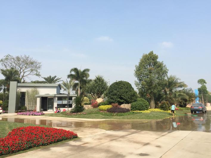 公司环境
